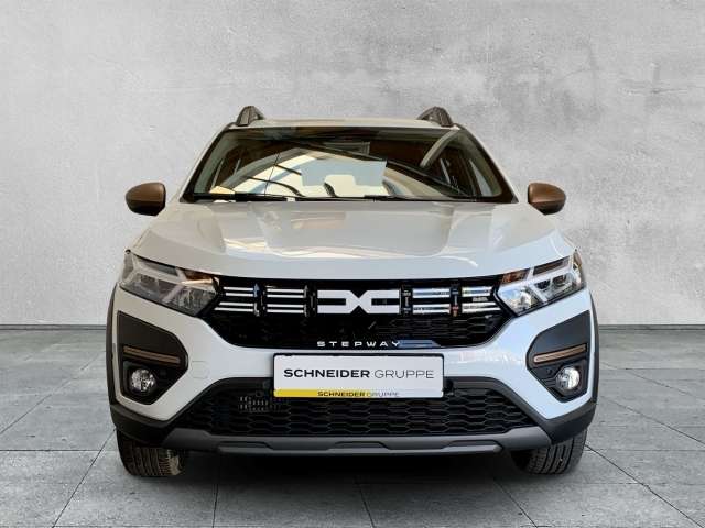 Fahrzeugbild eines Dacia Sandero