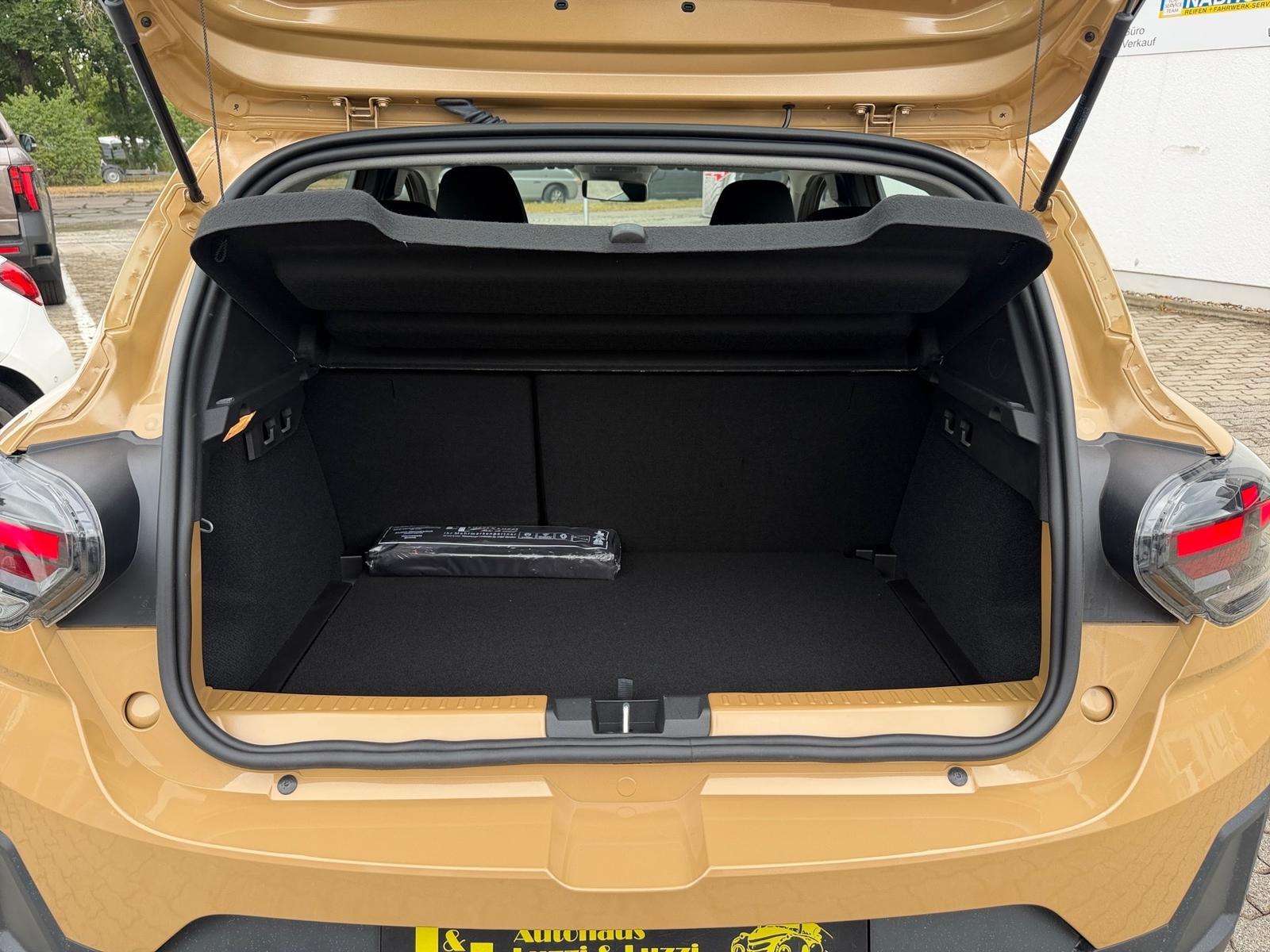Fahrzeugbild eines Dacia Sandero