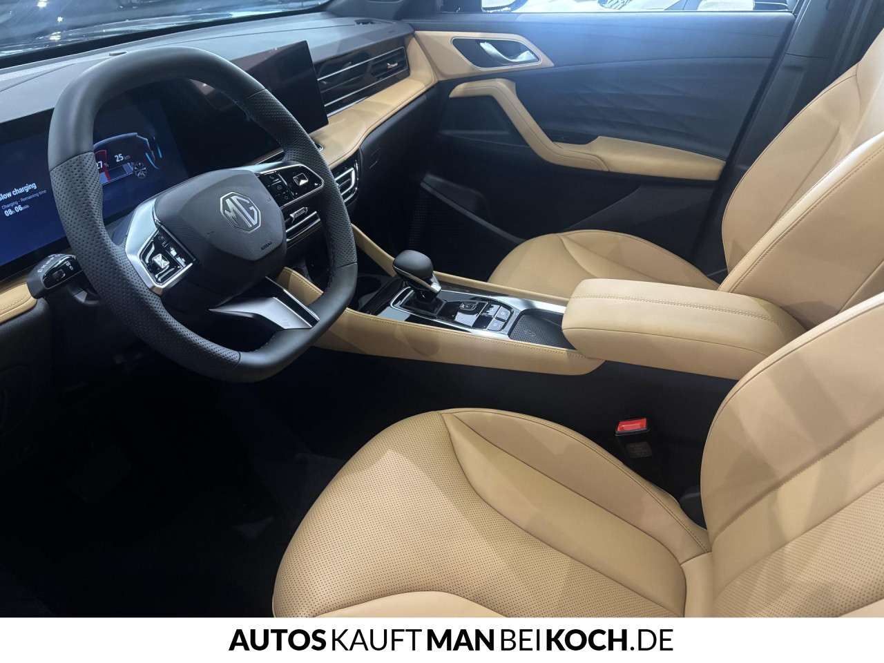 Fahrzeugbild eines MG HS