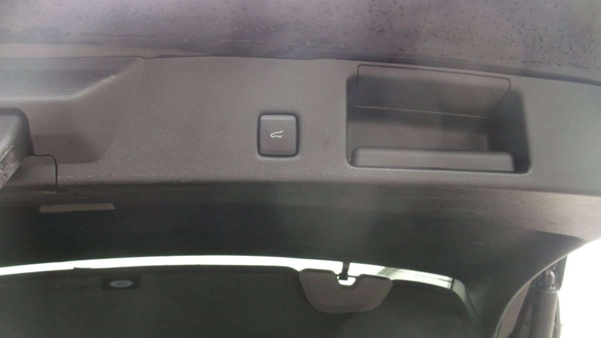 Fahrzeugbild eines Ford Kuga