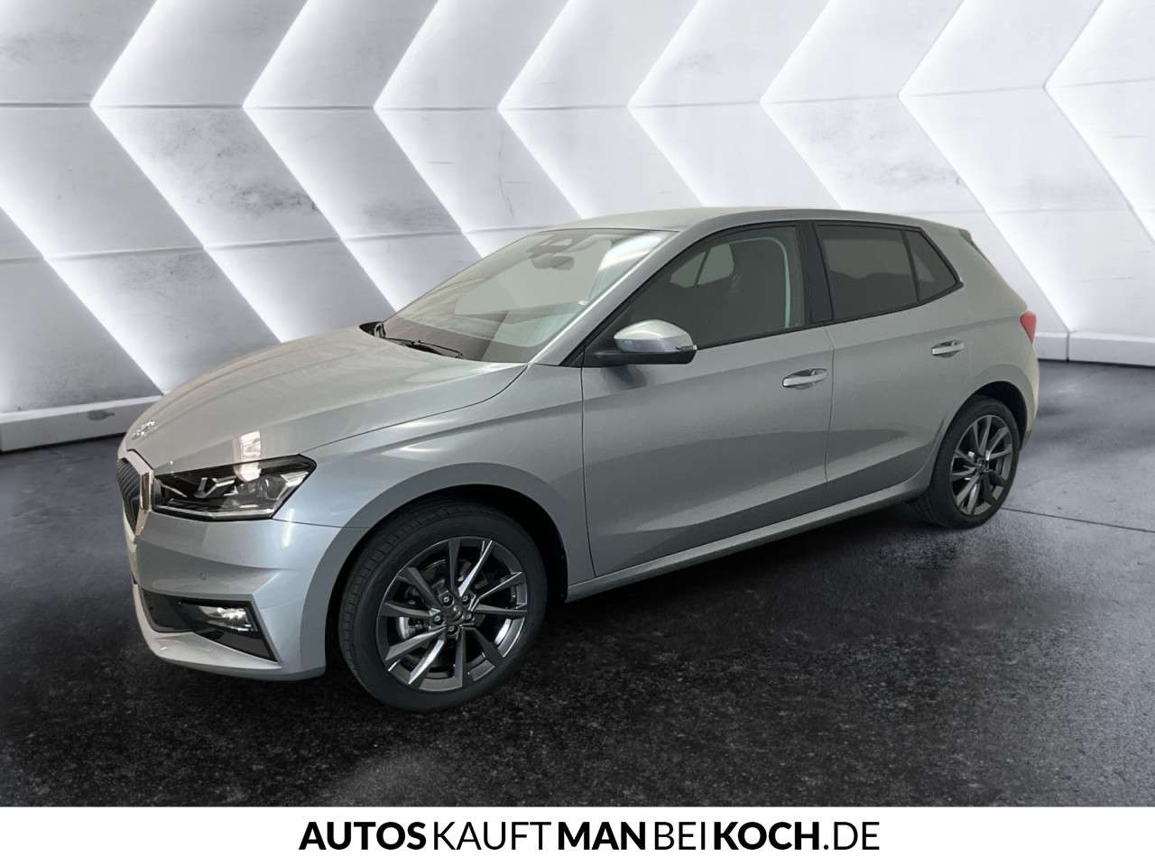 Fahrzeugbild eines Skoda Fabia