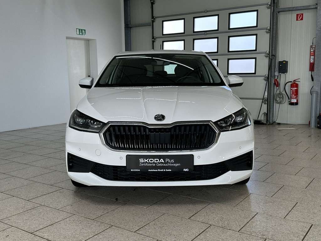 Fahrzeugbild eines Skoda Fabia