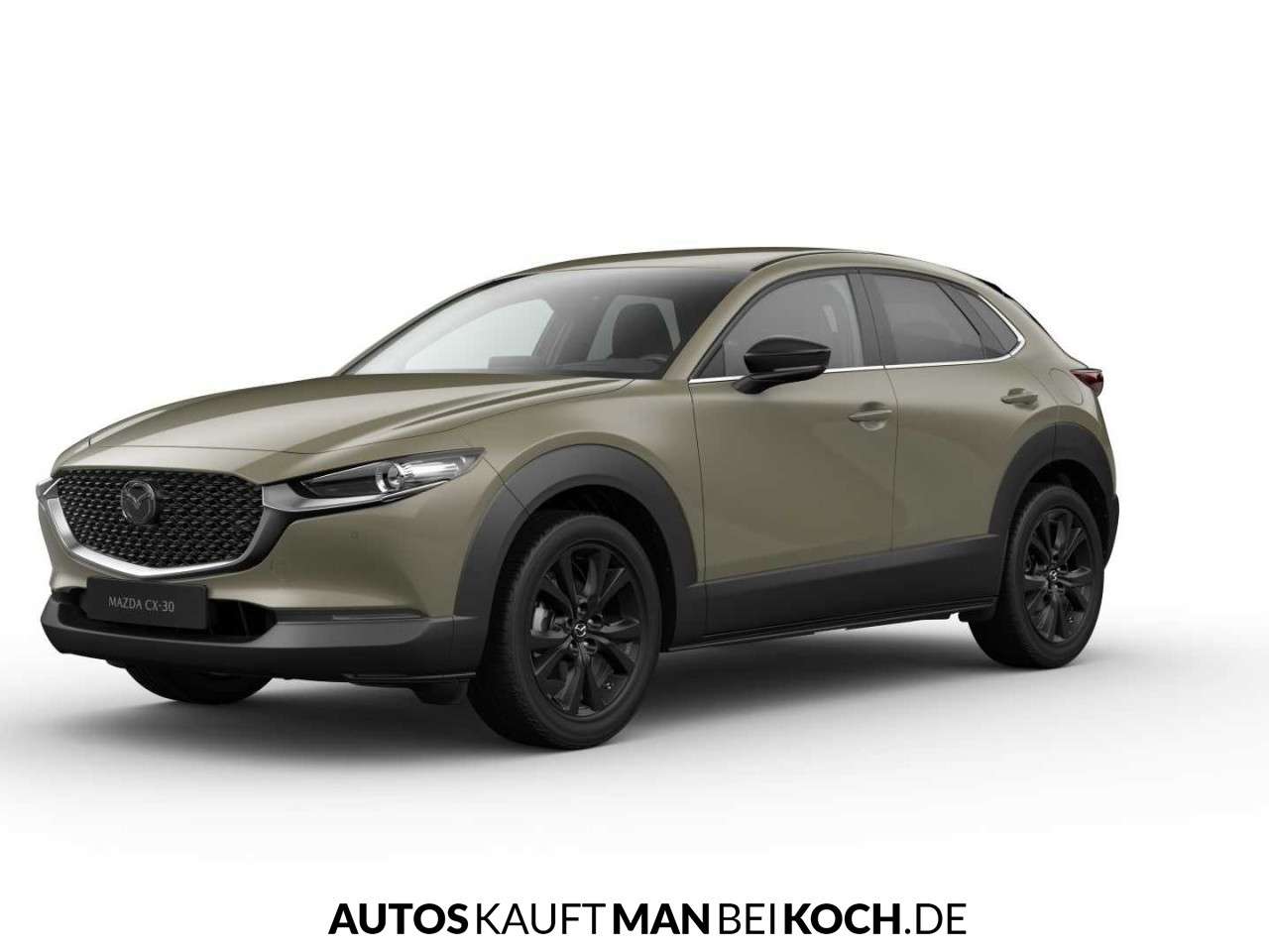 Fahrzeugbild eines Mazda CX-30
