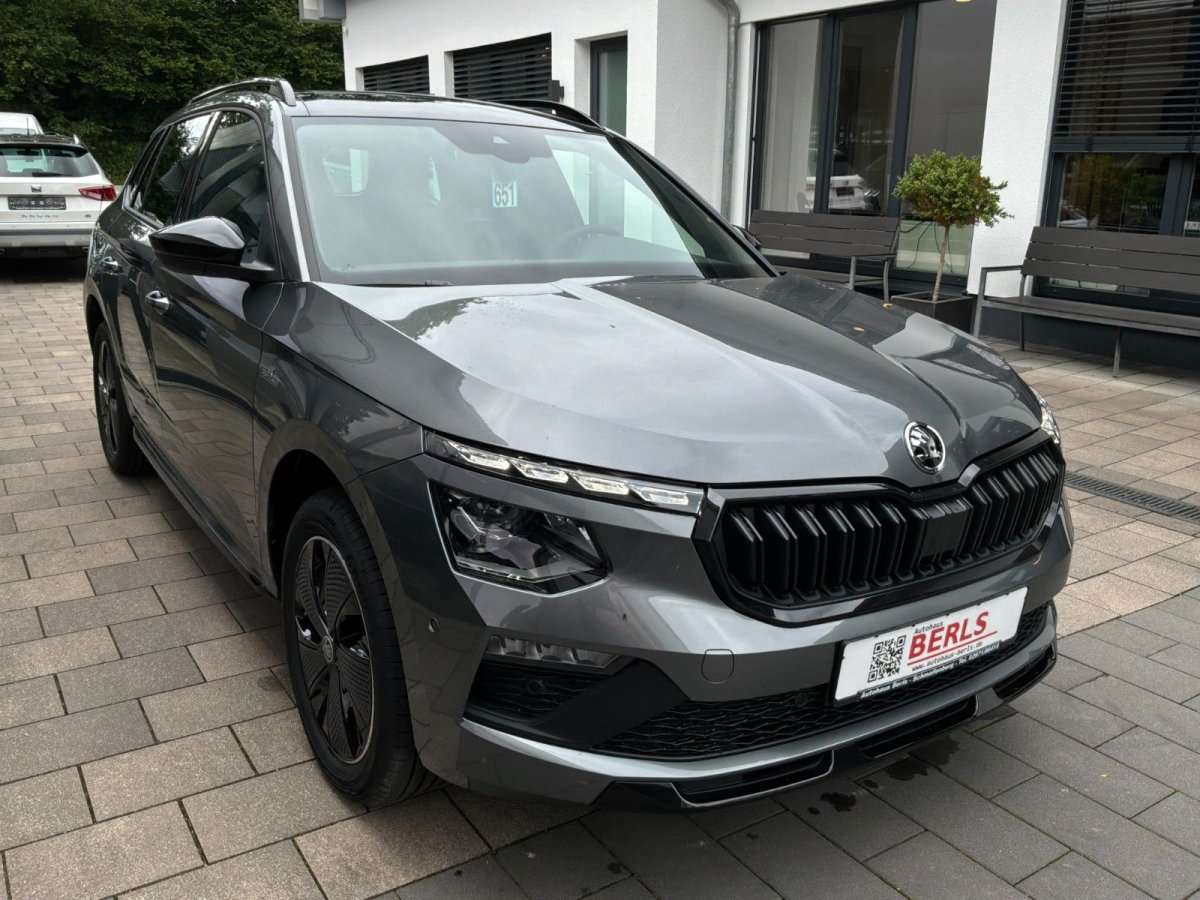 Fahrzeugbild eines Skoda Kamiq