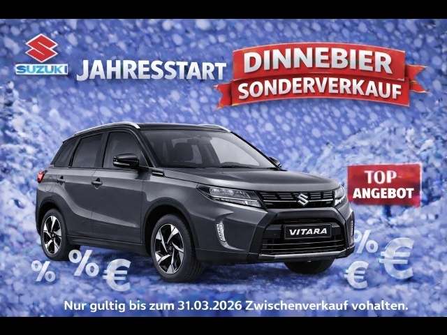 Fahrzeugbild eines Suzuki Vitara