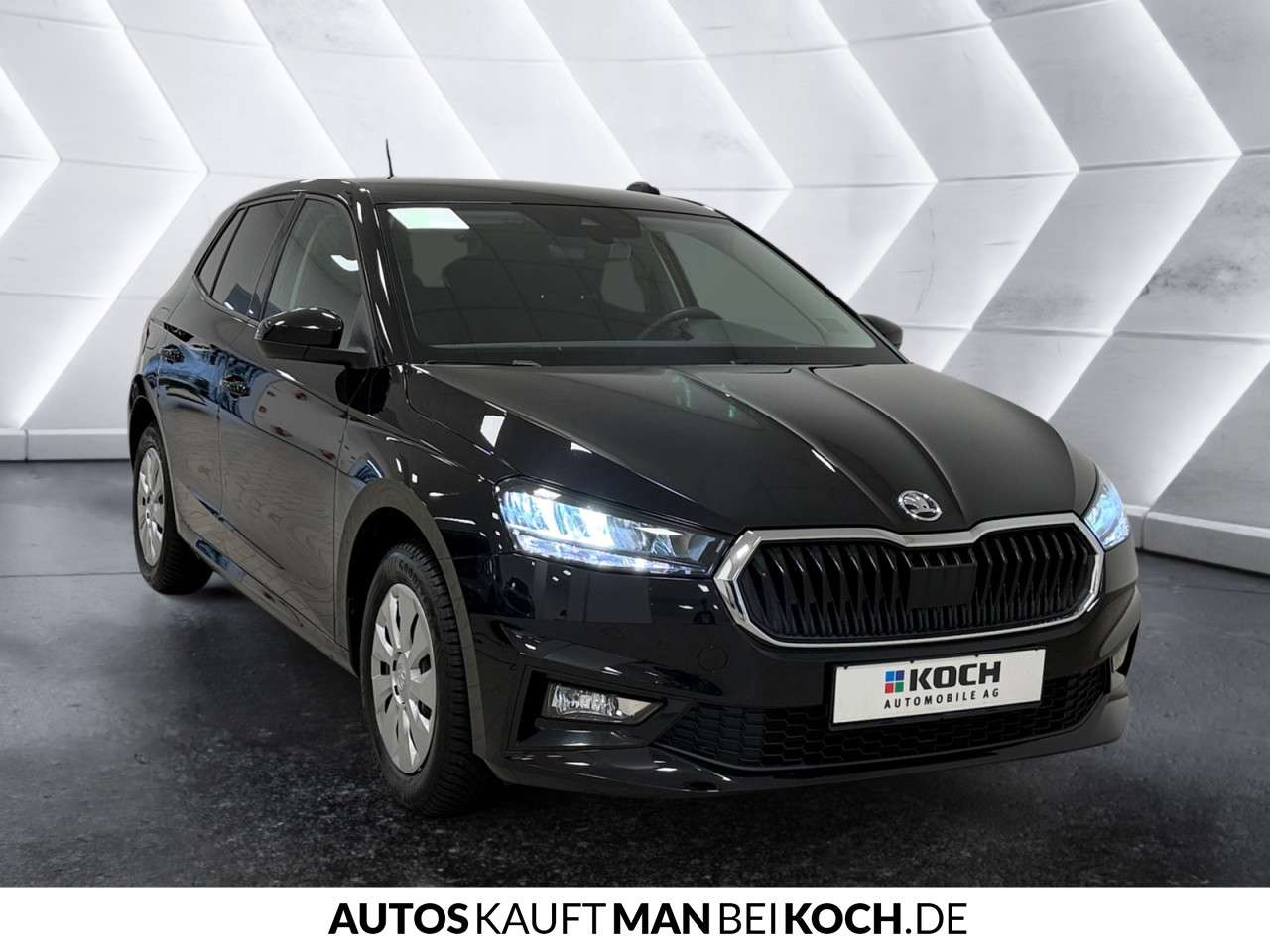 Fahrzeugbild eines Skoda Fabia