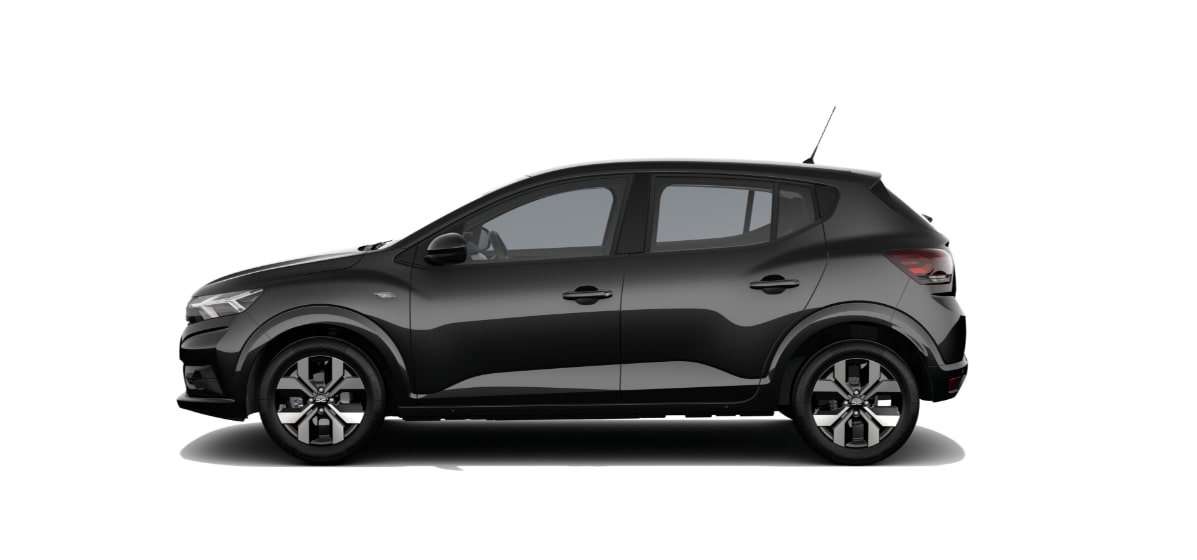 Fahrzeugbild eines Dacia Sandero