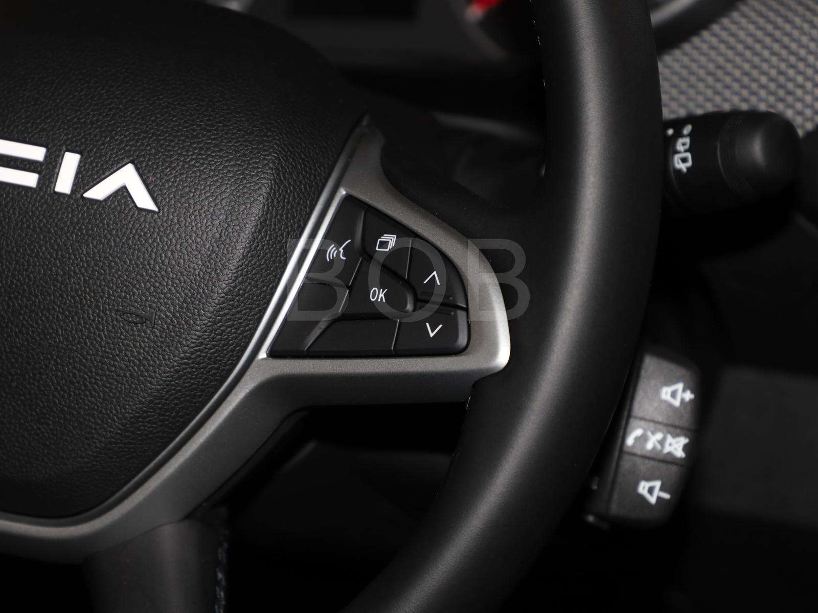 Fahrzeugbild eines Dacia Sandero