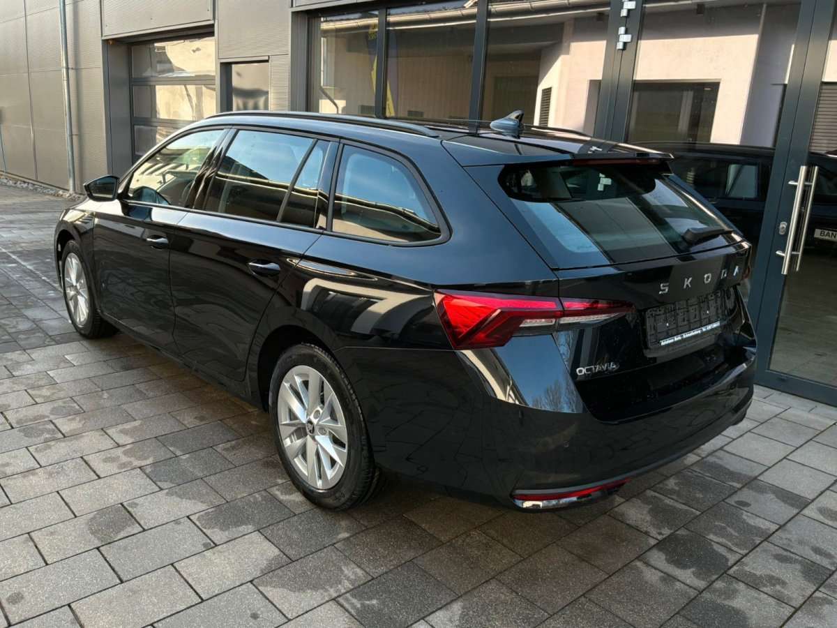 Fahrzeugbild eines Skoda Octavia