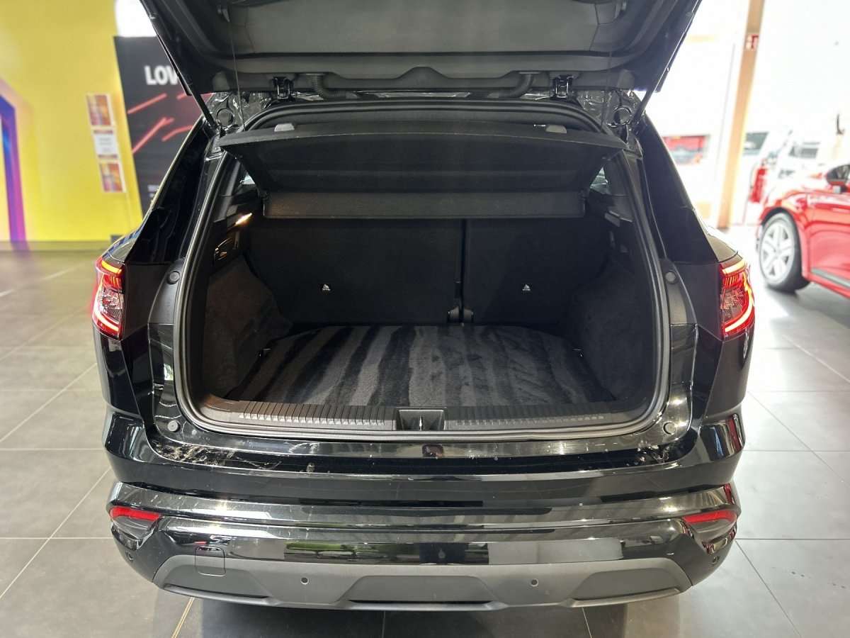 Fahrzeugbild eines Renault Austral