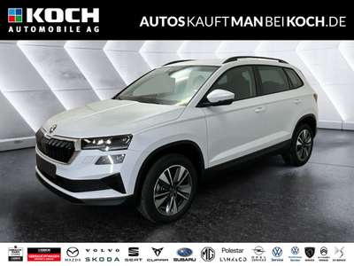 Bild Skoda Karoq