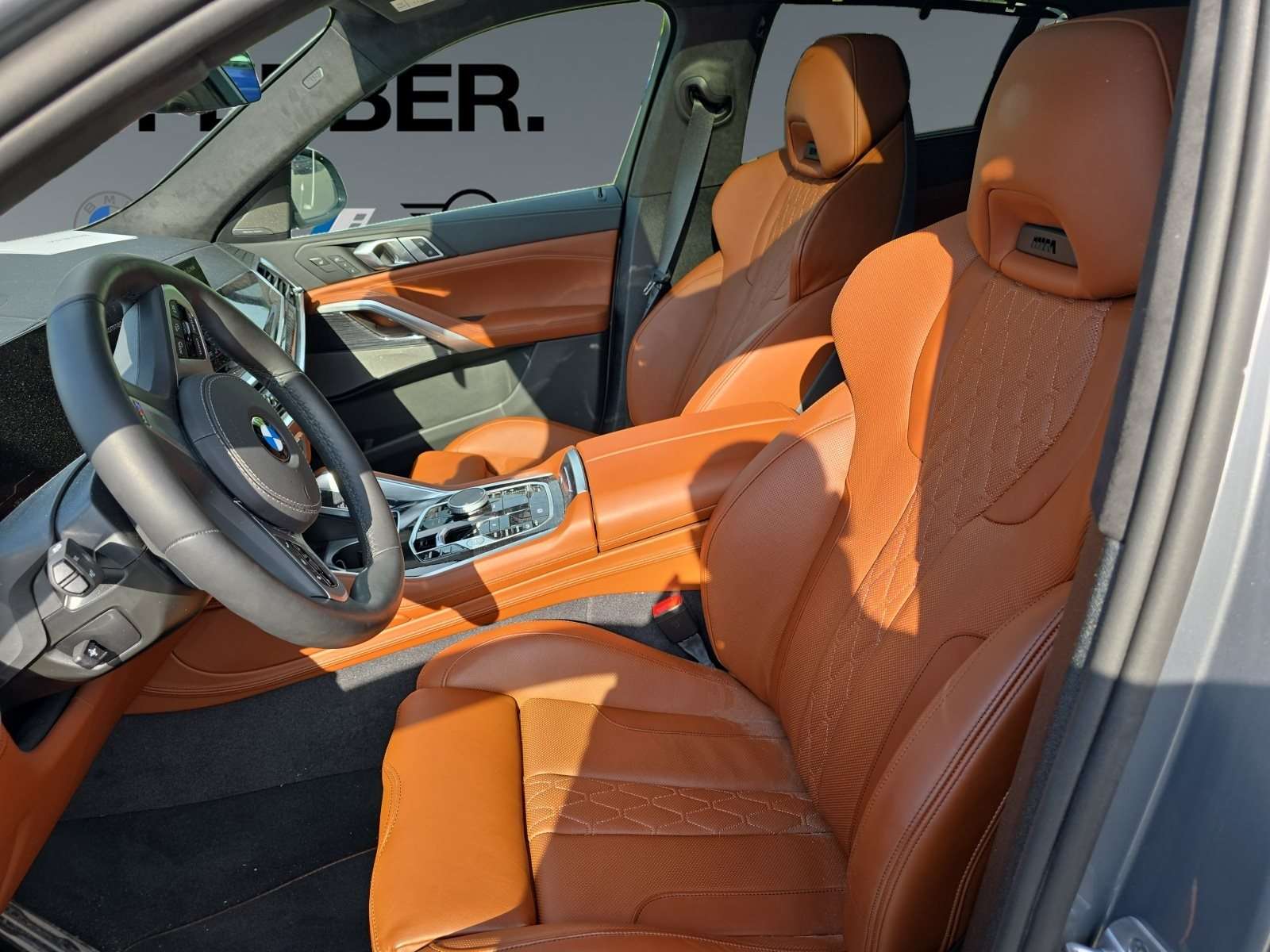 Fahrzeugbild eines BMW X6