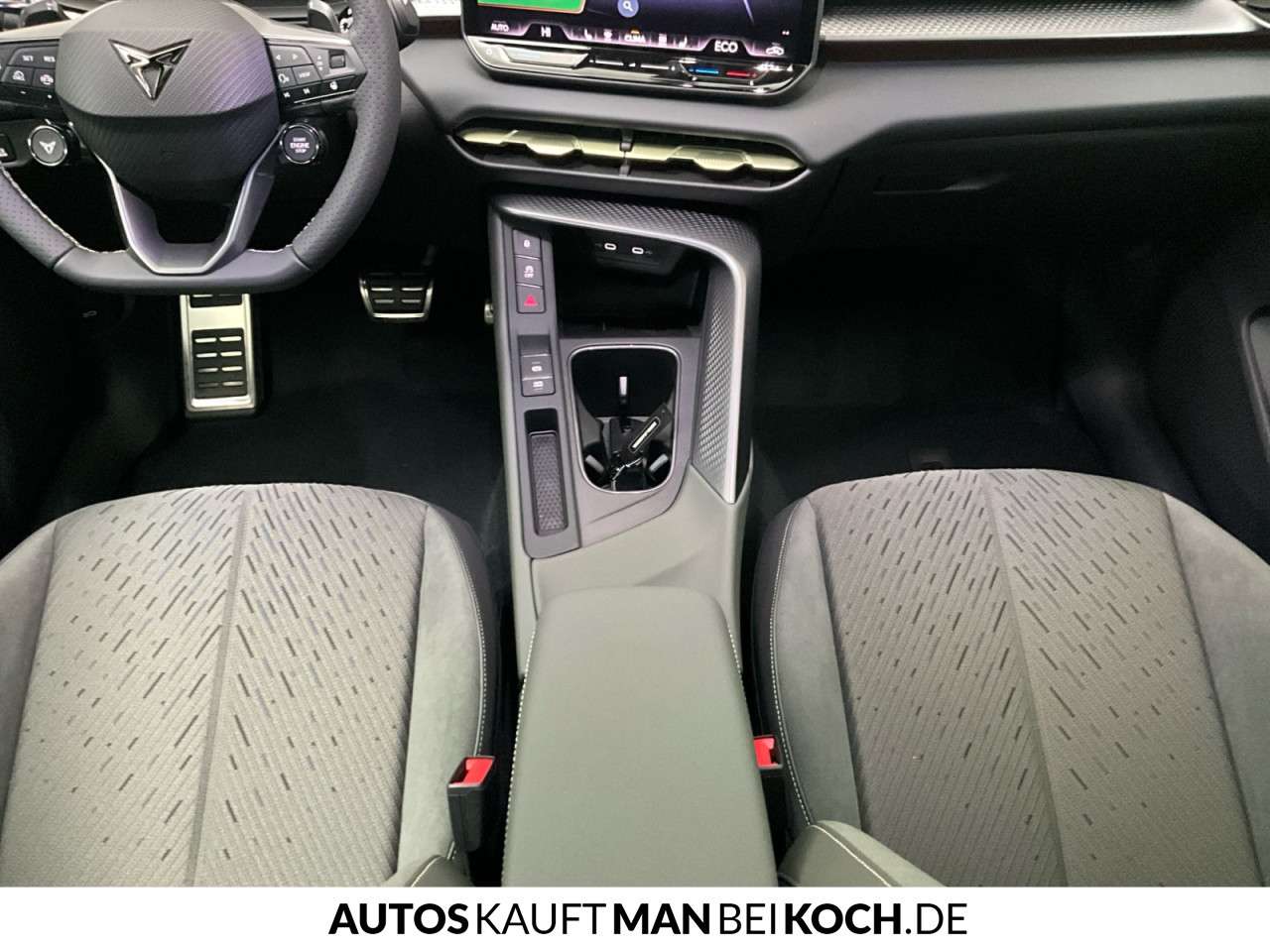 Fahrzeugbild eines CUPRA Terramar