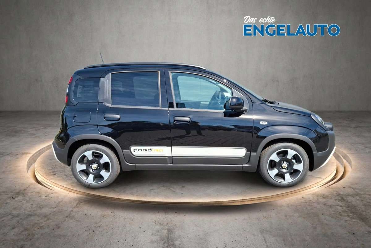 Fahrzeugbild eines Fiat Panda