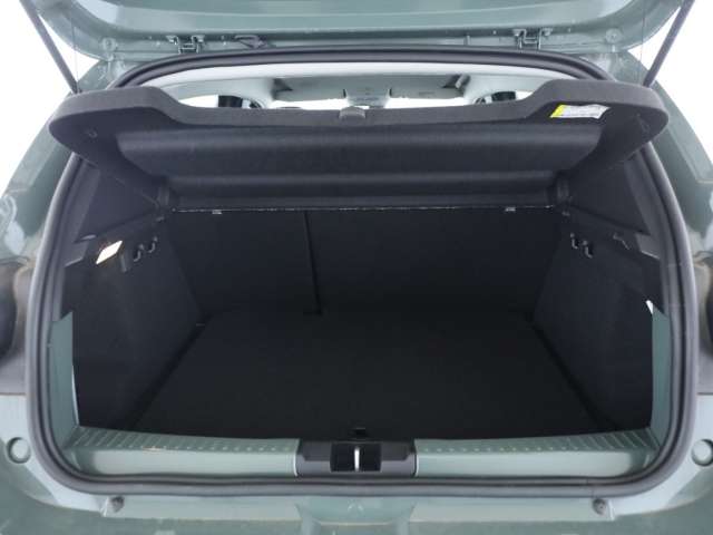Fahrzeugbild eines Dacia Sandero