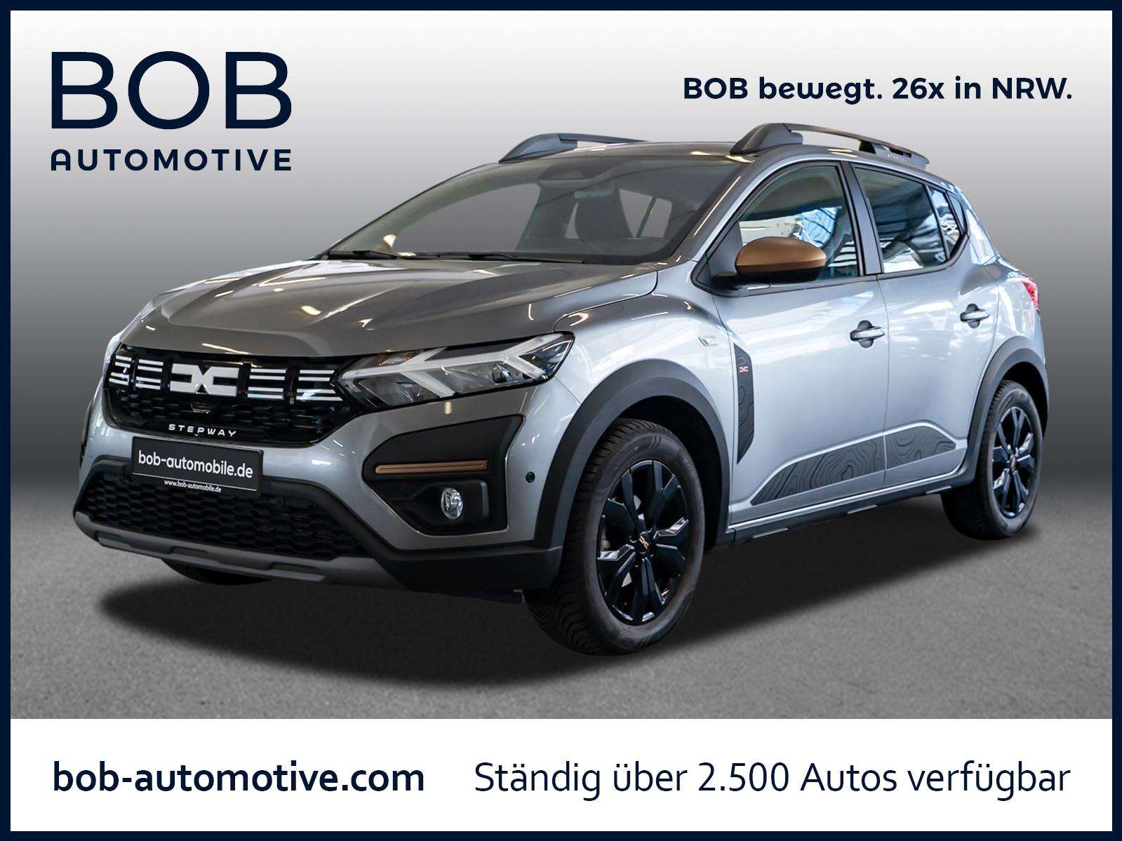 Fahrzeugbild eines Dacia Sandero