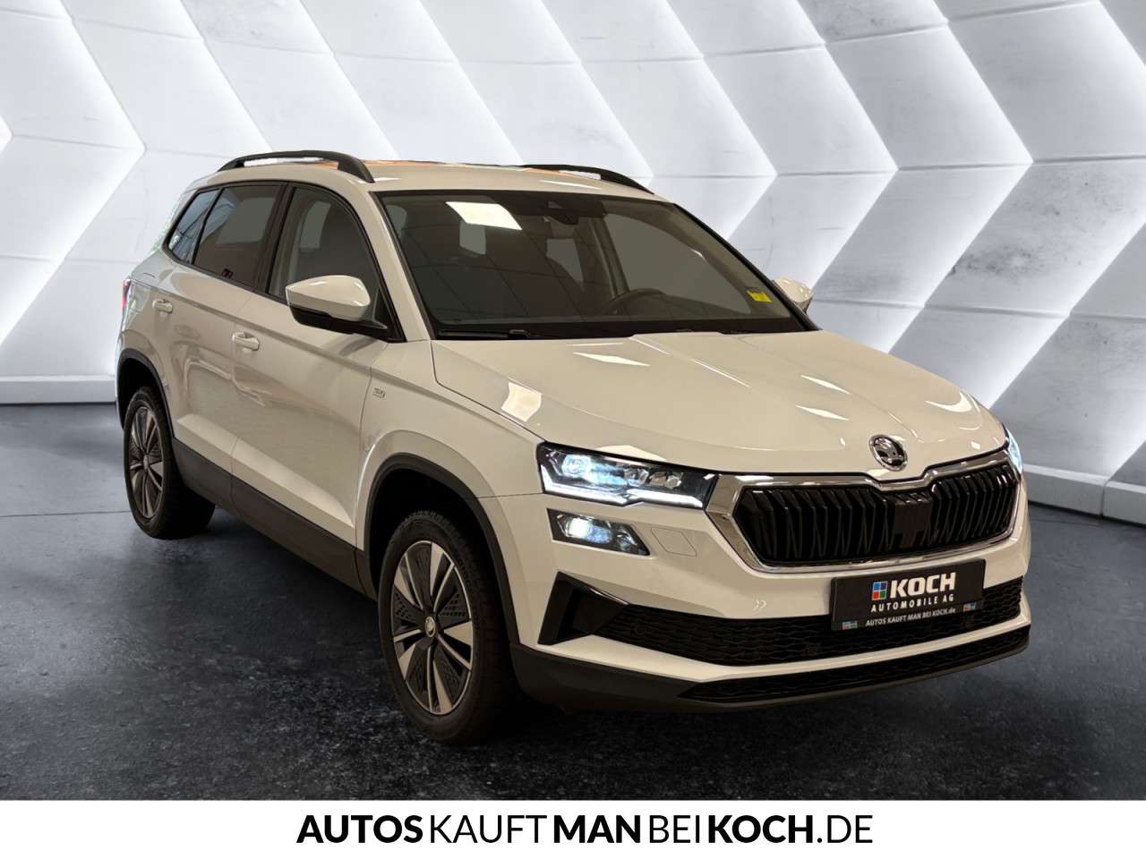 Fahrzeugbild eines Skoda Karoq