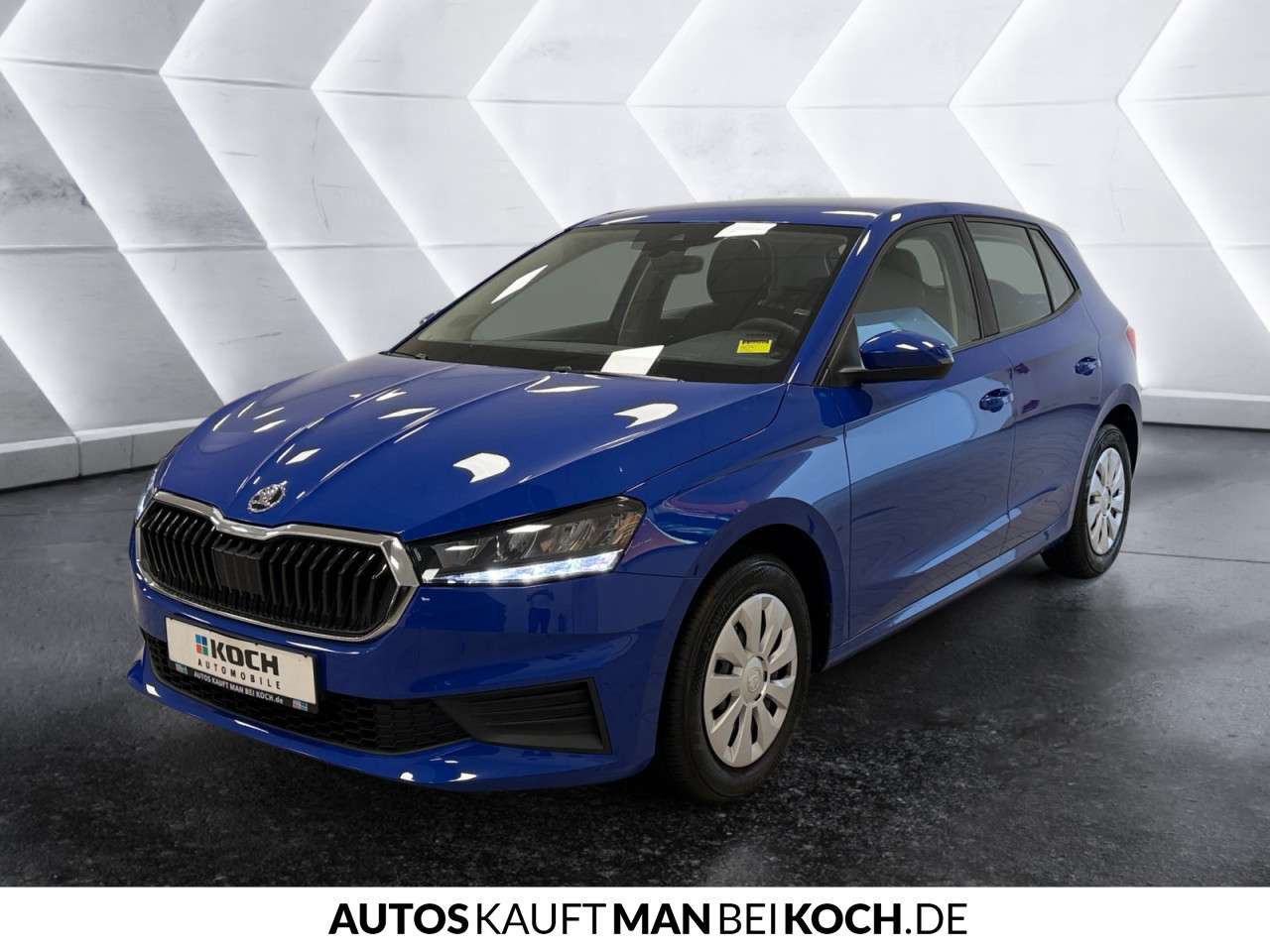 Fahrzeugbild eines Skoda Fabia