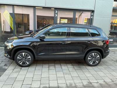Bild Skoda Karoq