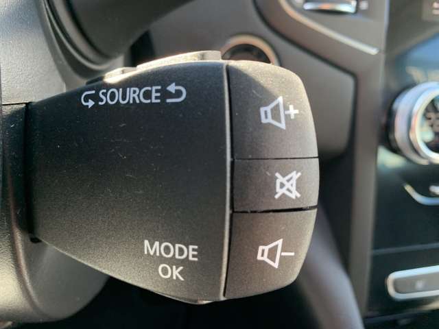Fahrzeugbild eines Renault Mégane