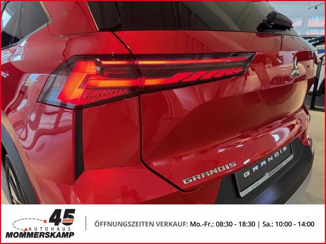 Fahrzeugbild eines Mitsubishi Grandis