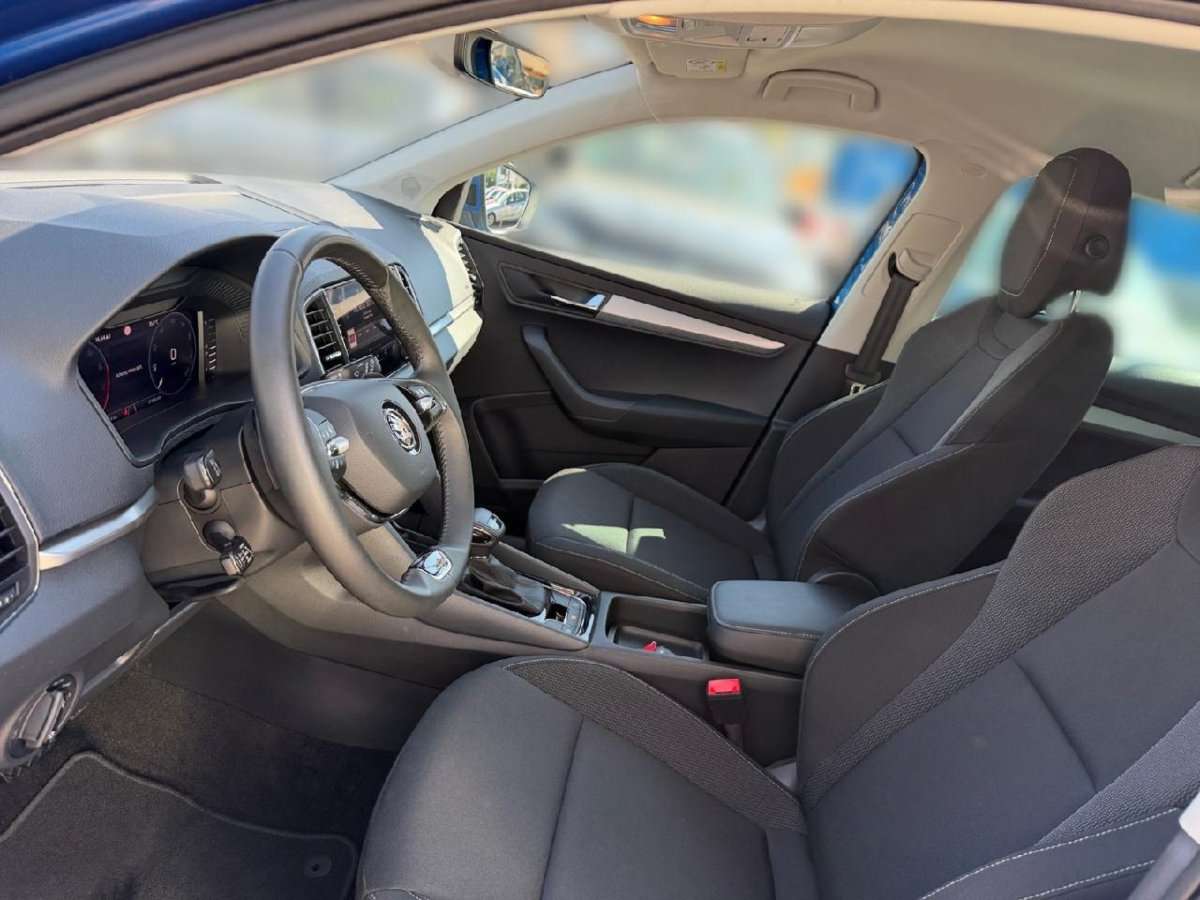 Fahrzeugbild eines Skoda Karoq