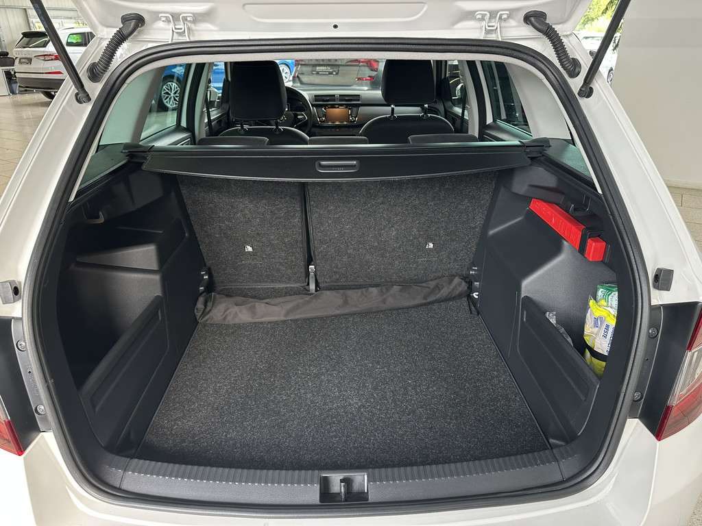 Fahrzeugbild eines Skoda Fabia