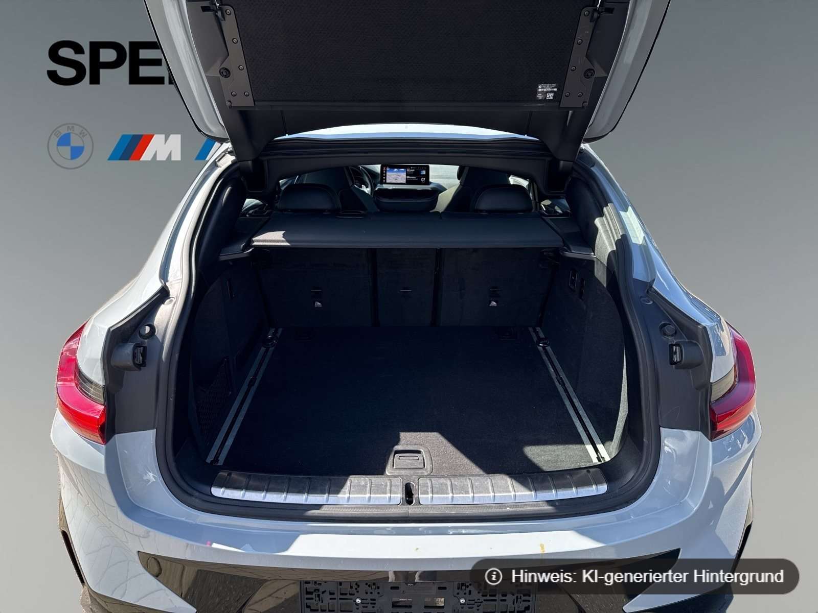 Fahrzeugbild eines BMW X4