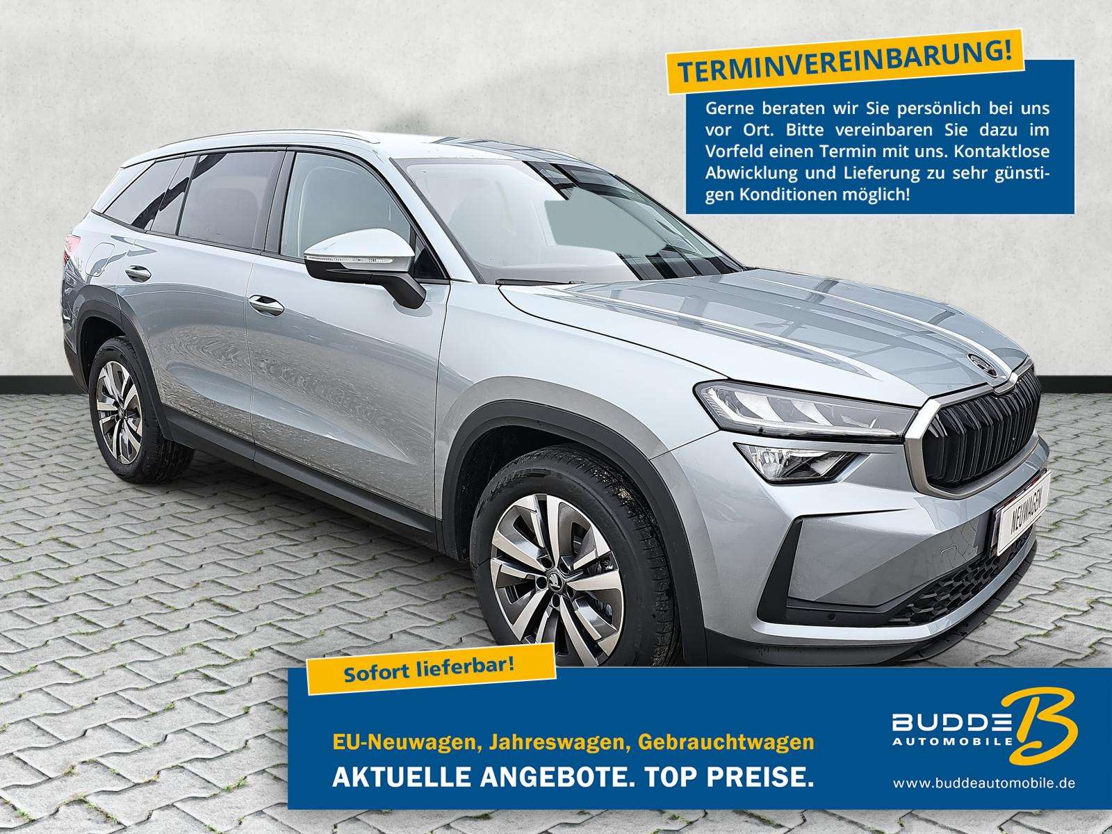 Fahrzeugbild eines Skoda Kodiaq