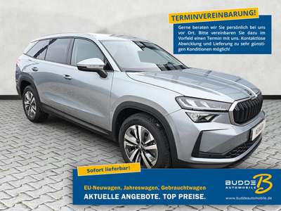 Bild Skoda Kodiaq