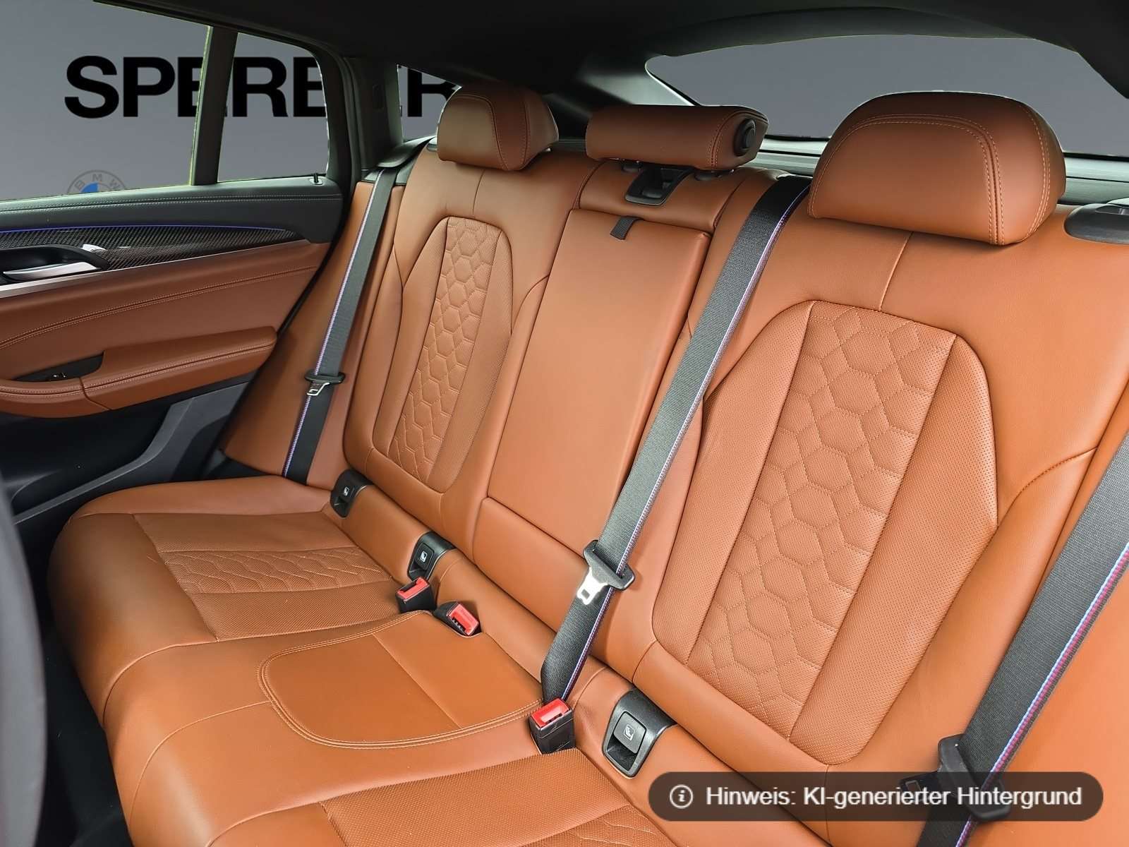 Fahrzeugbild eines BMW X4