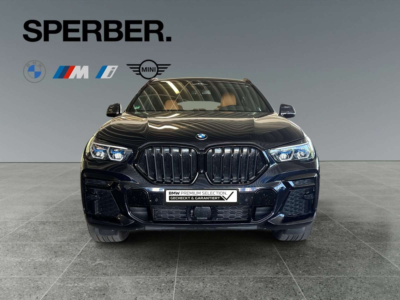 Fahrzeugbild eines BMW X6
