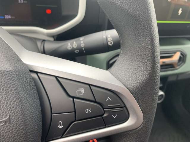 Fahrzeugbild eines Dacia Spring