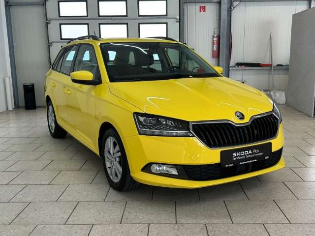 Fahrzeugbild eines Skoda Fabia
