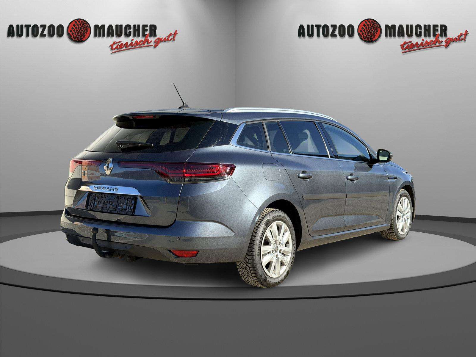 Fahrzeugbild eines Renault Mégane