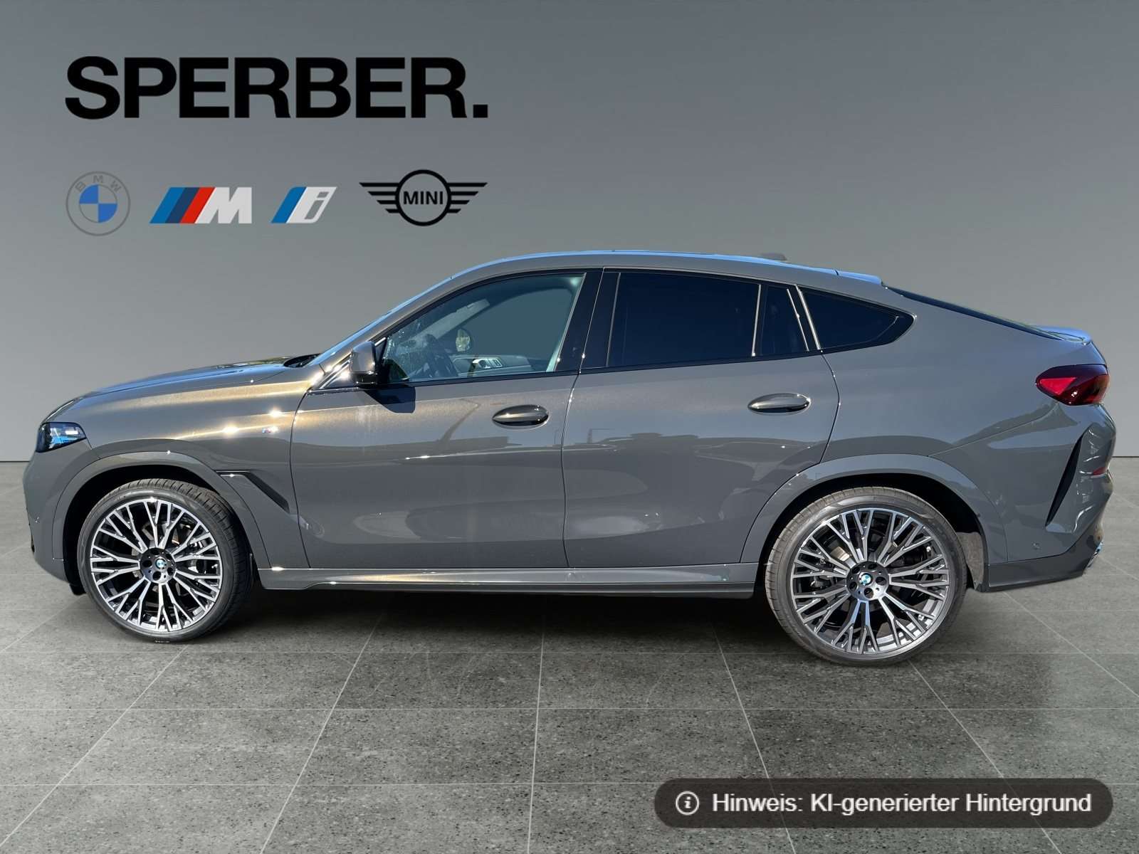 Fahrzeugbild eines BMW X6