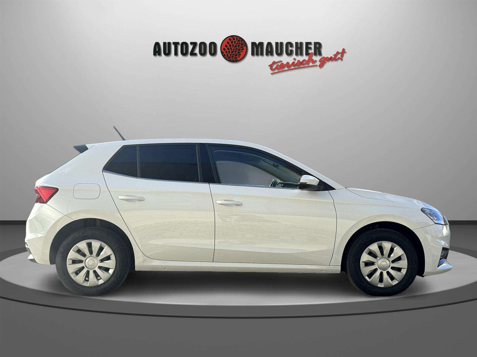 Fahrzeugbild eines Skoda Fabia