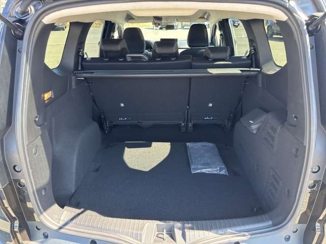 Fahrzeugbild eines Dacia Jogger