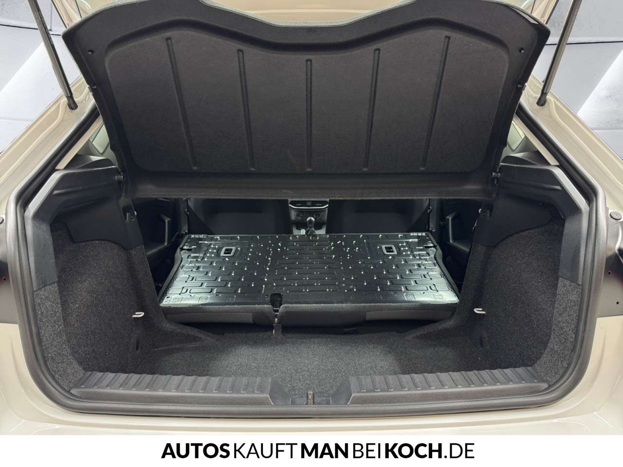 Fahrzeugbild eines SEAT Ibiza