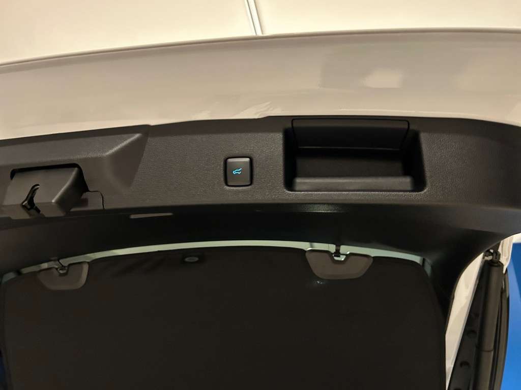 Fahrzeugbild eines Ford Kuga