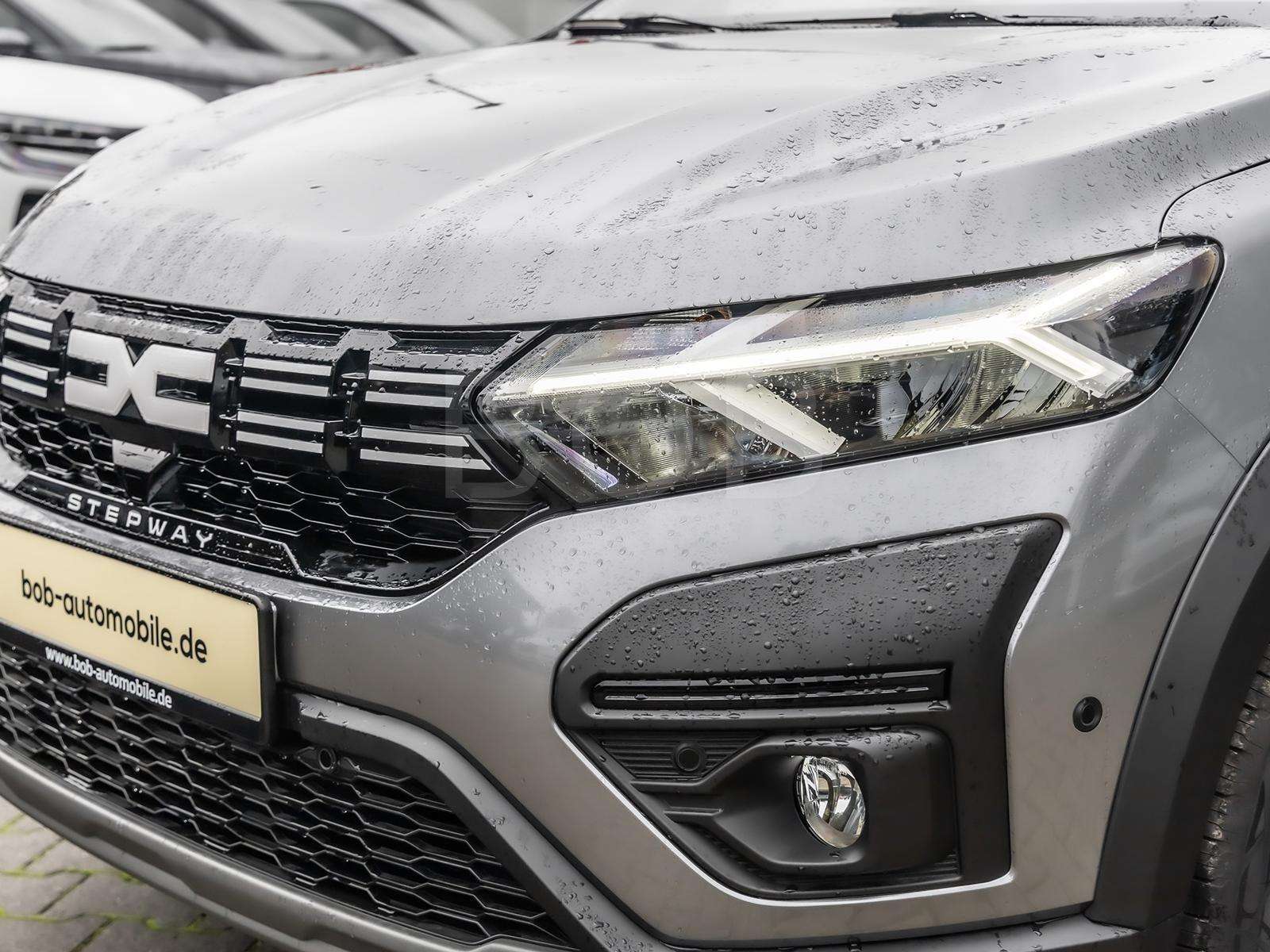 Fahrzeugbild eines Dacia Sandero