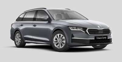 Bild Skoda Octavia