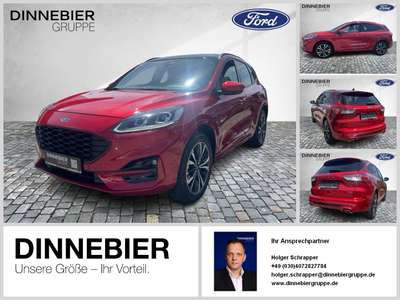 Bild Ford Kuga