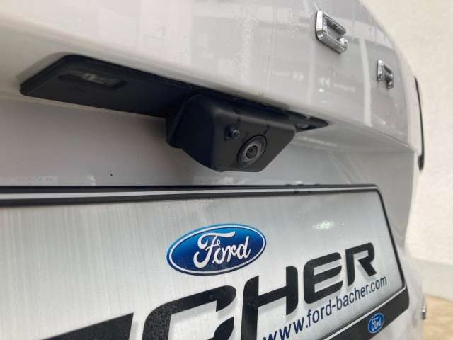 Fahrzeugbild eines Ford Kuga