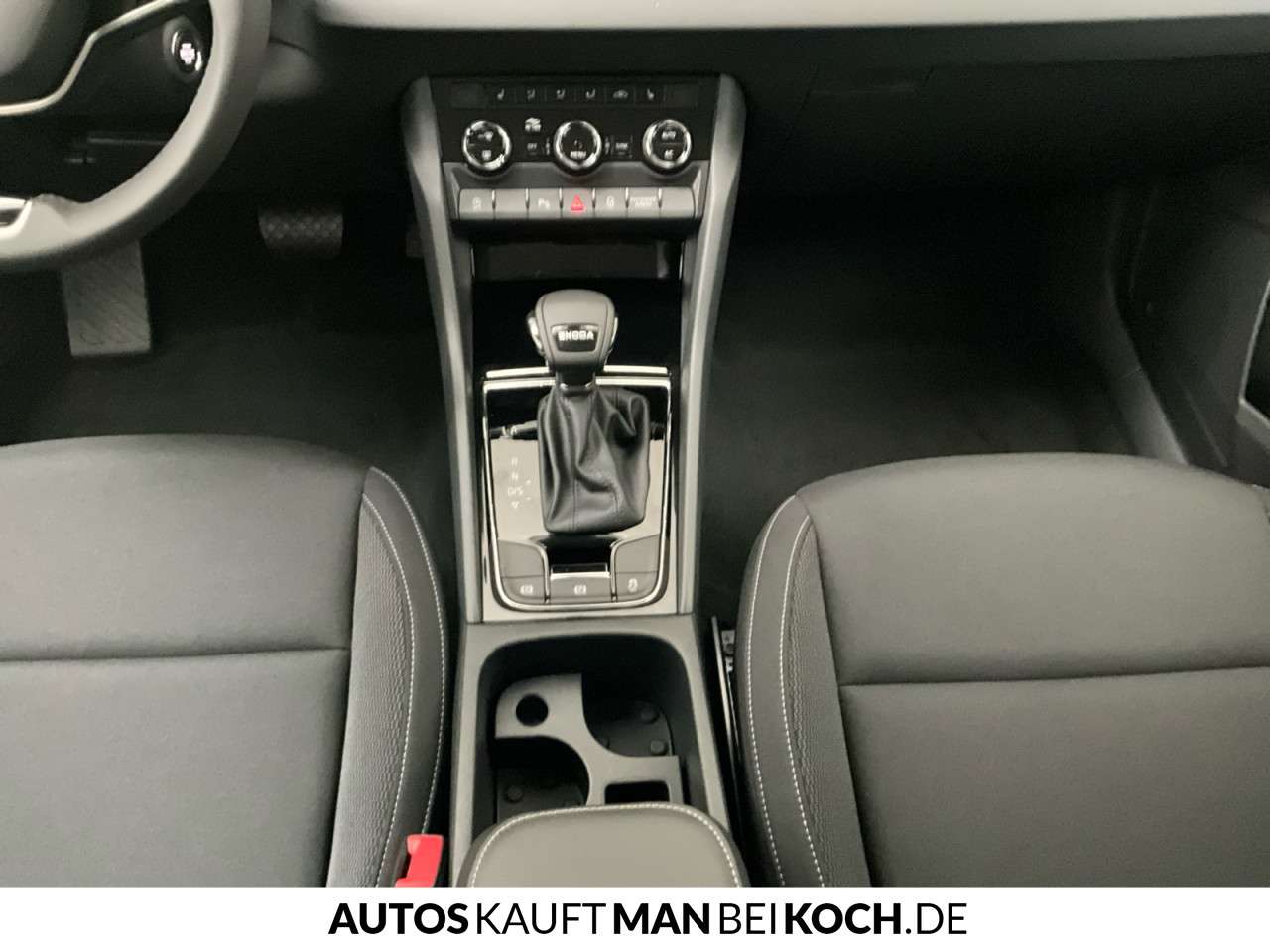 Fahrzeugbild eines Skoda Karoq