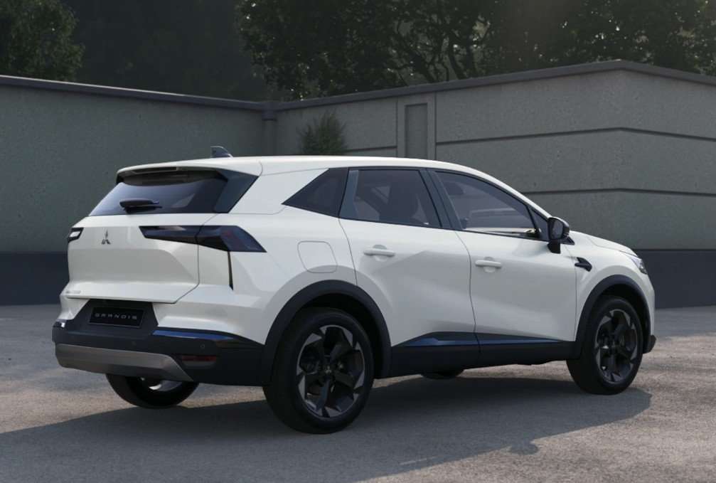 Fahrzeugbild eines Mitsubishi Grandis