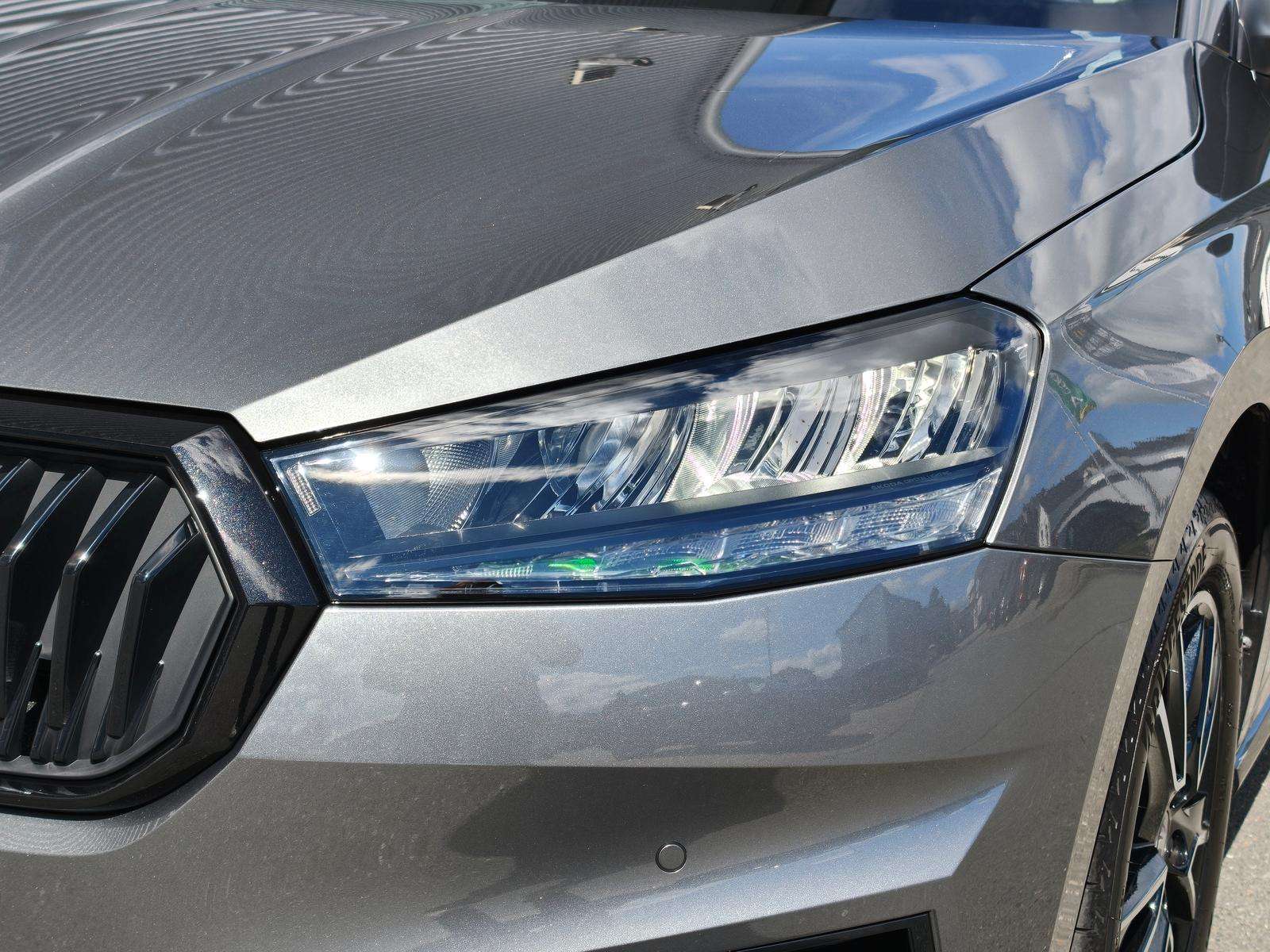 Fahrzeugbild eines Skoda Fabia