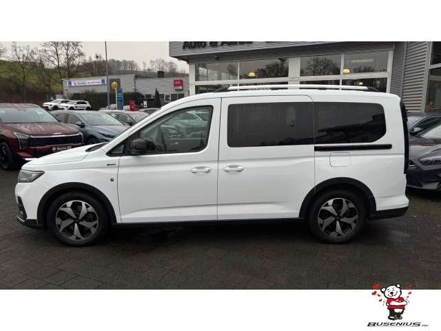 Fahrzeugbild eines Ford Tourneo