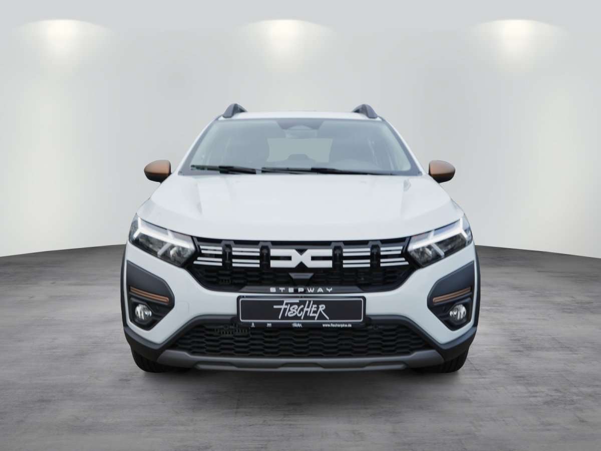 Fahrzeugbild eines Dacia Sandero