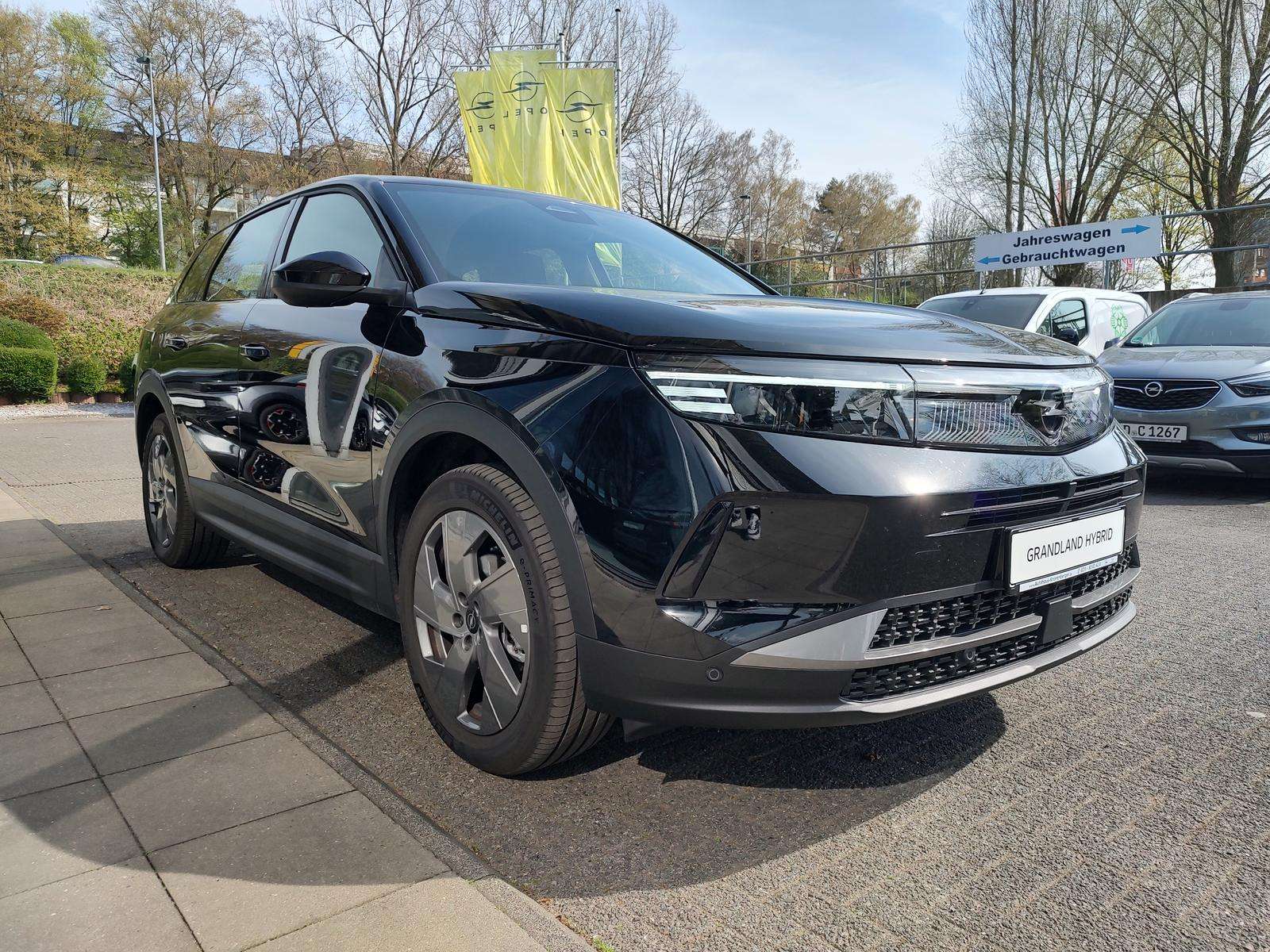 Fahrzeugbild eines Opel Grandland X